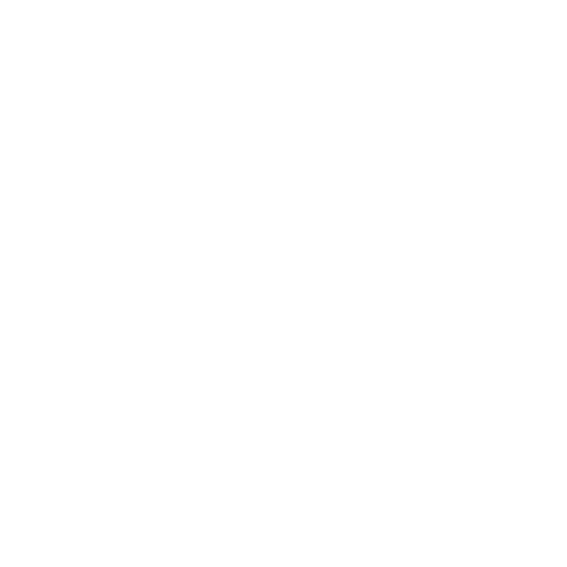 4SV Logo