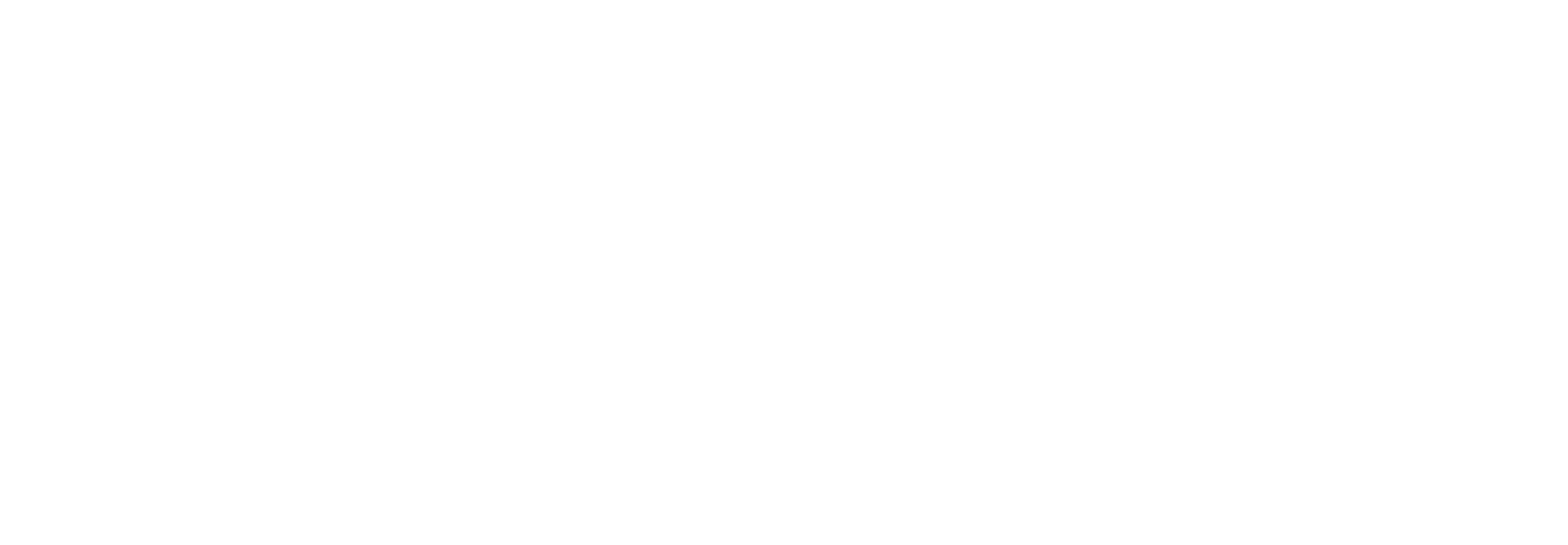 Big Brain Holdings